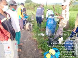 Gerakan basmi hama tikus di lahan pertanian Gading